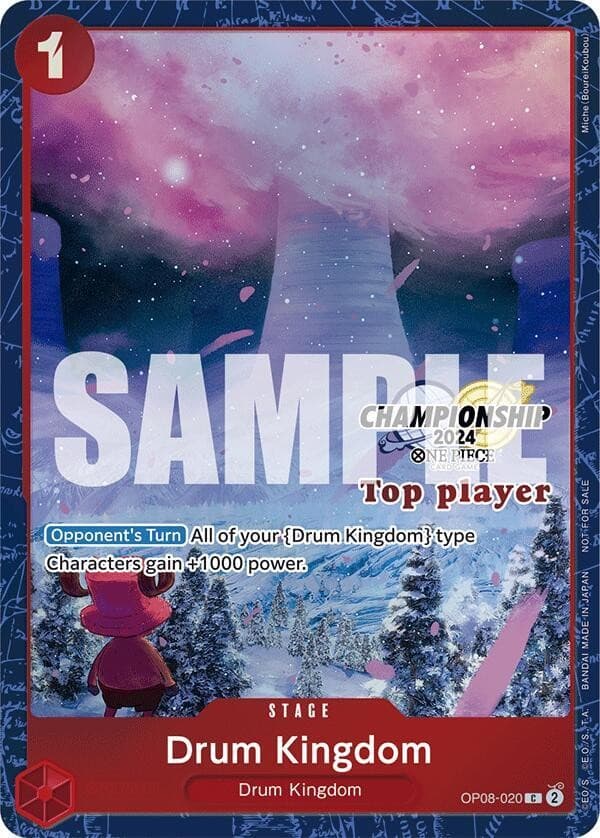 Drum Kingdom (Championship 2024 | Top Player)