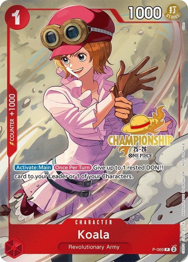 Koala (Gold Text | Championship 25-26 | Event Pack)